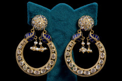 Silver Radiance Earrings